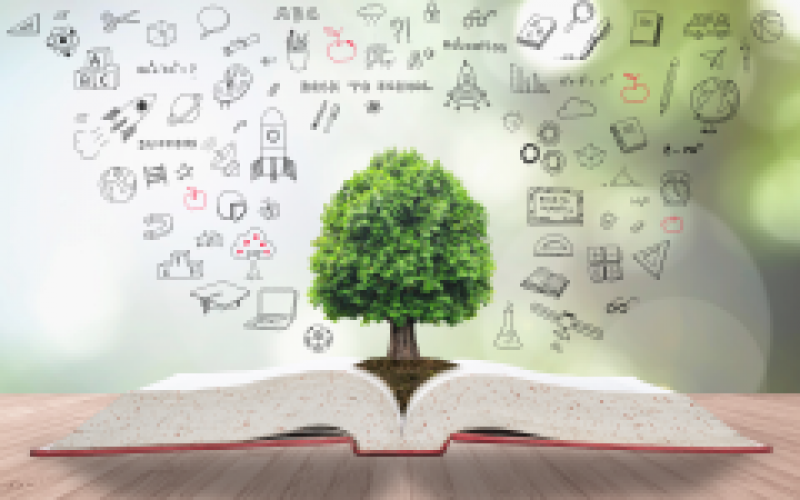 Fundamentos Constitucionais e Metodologia da Educação Ambiental